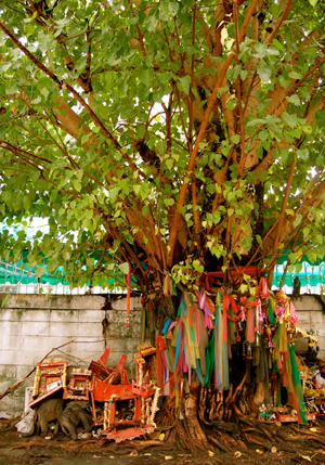 bodhi tree miracle in puranas, Brahma purana, skanda purana